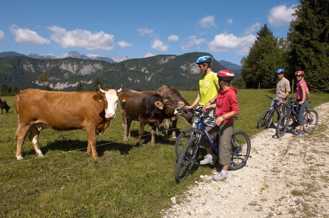Bohinj Eco Hotel Bohinjska Bistrica Eksteriør bilde