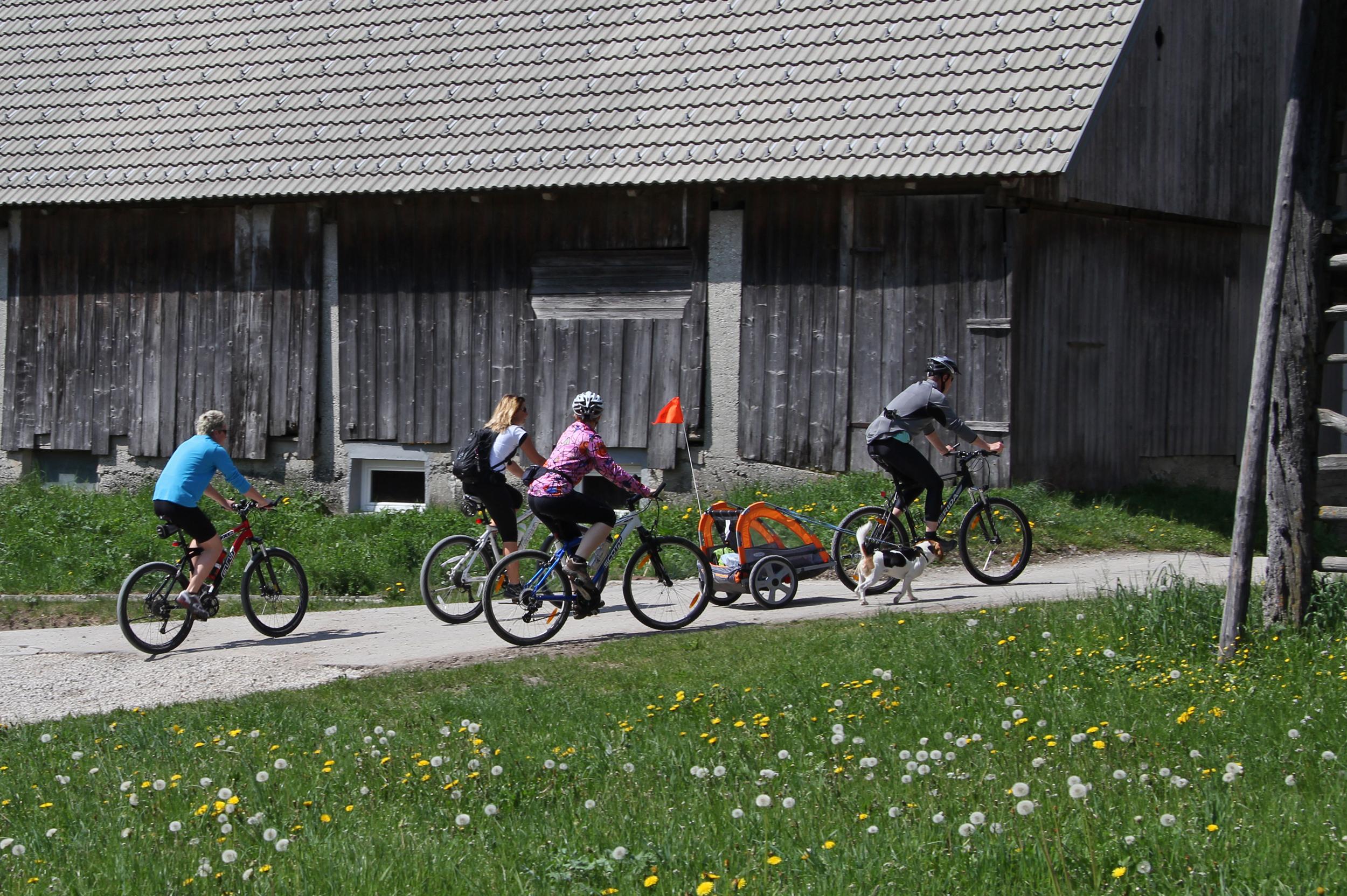 Bohinj Eco Hotel Bohinjska Bistrica Eksteriør bilde