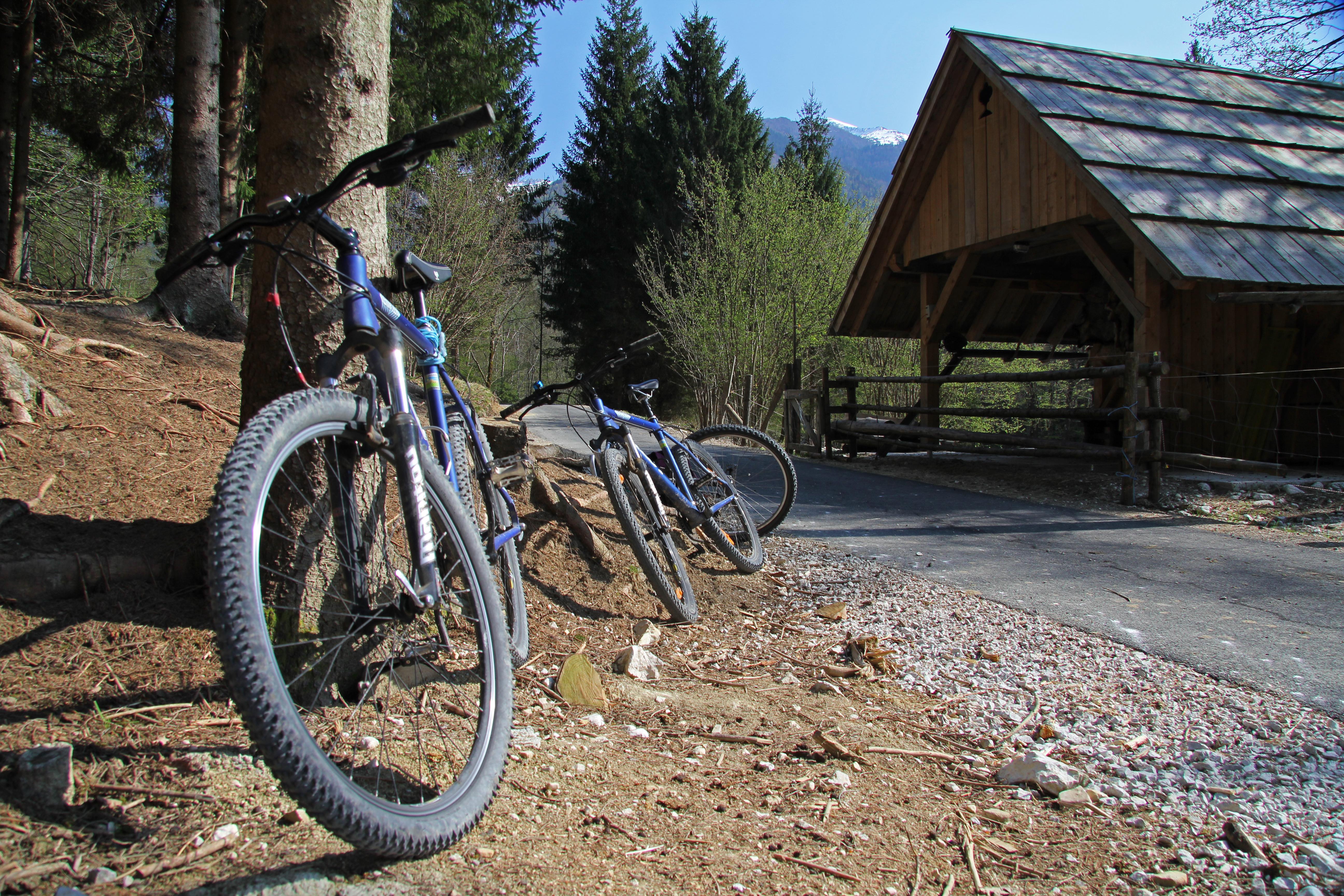 Bohinj Eco Hotel Bohinjska Bistrica Eksteriør bilde